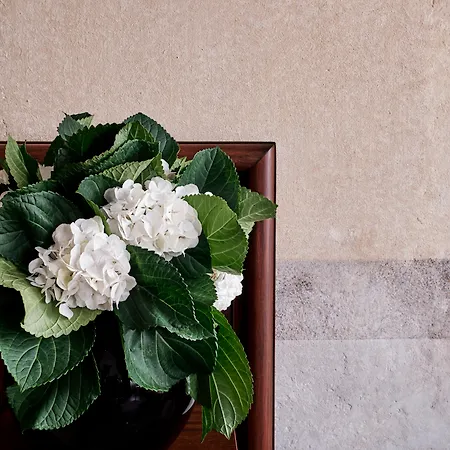 Hotel Stary Cracovia