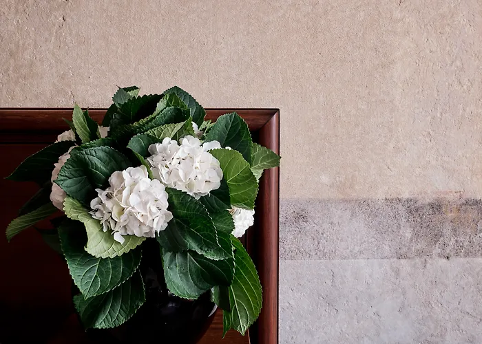 Hotel Stary Cracovia